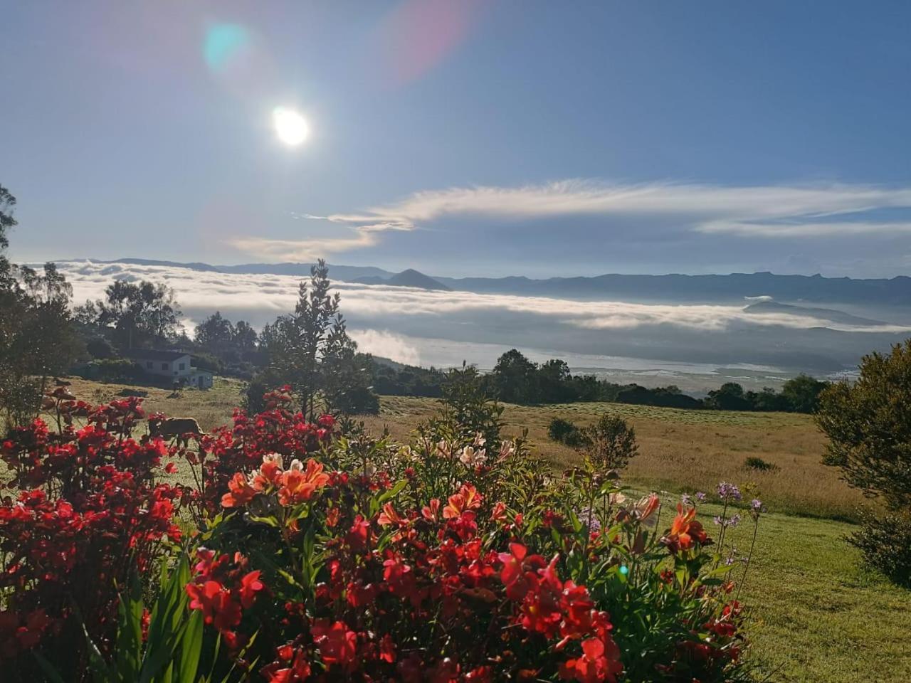 Glamping Hermoso Amanecer Guatavita Exterior photo